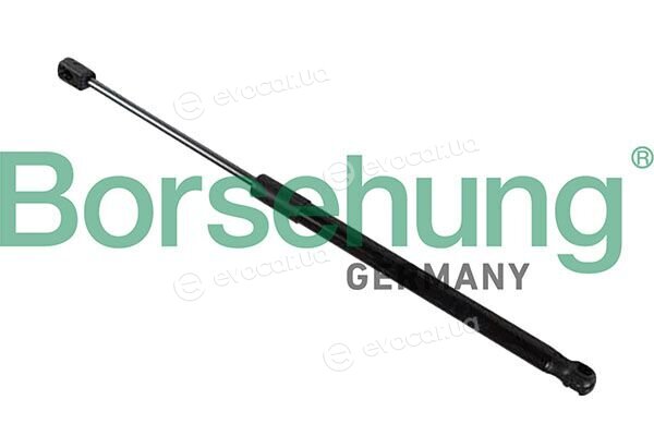 Borsehung B13252