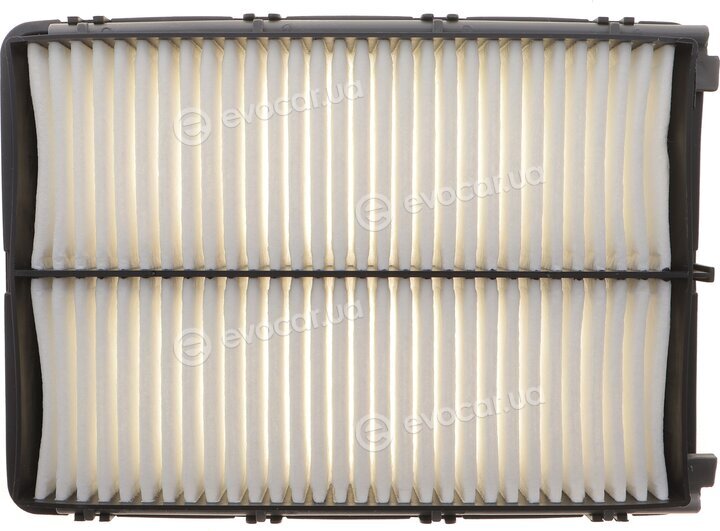 Solgy 103179