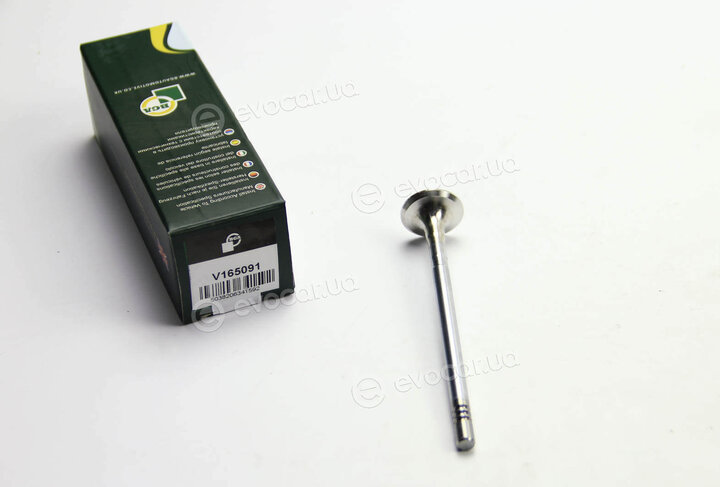 BGA V165091