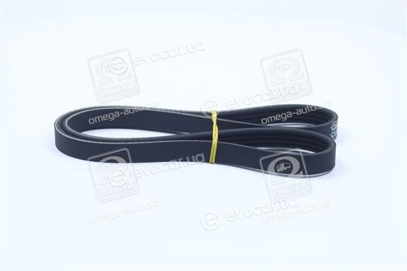 Dayco 4PK875