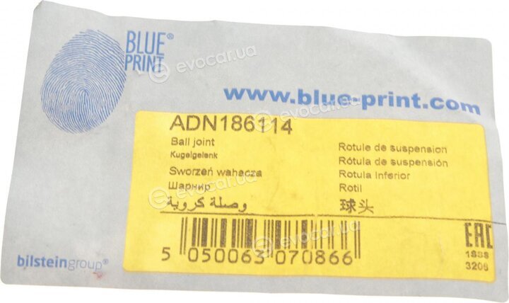 Blue Print ADN186114