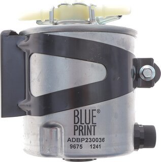 Blue Print ADBP230036