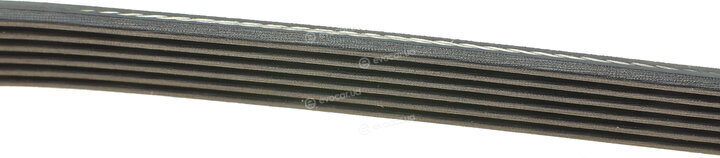 Dayco 6PK1217
