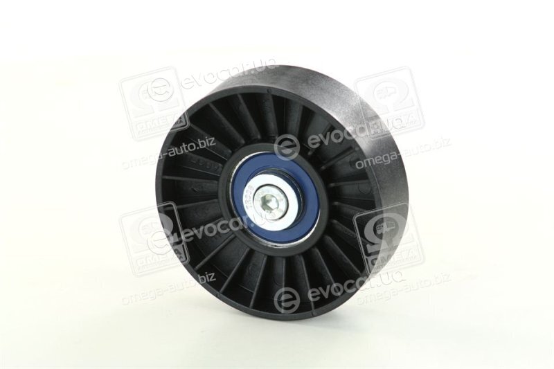 Dayco APV1011