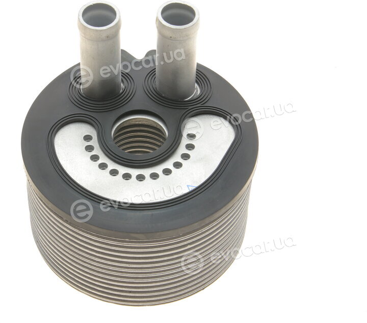Van Wezel 37013717