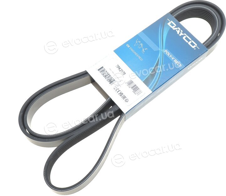 Dayco 7PK2170