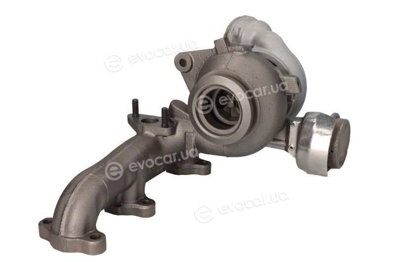 BorgWarner 54399900071