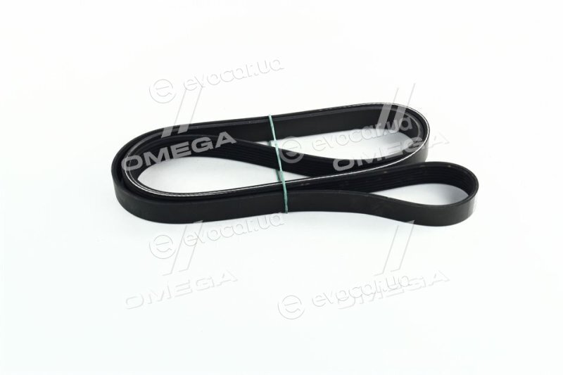 Dayco 7PK1853
