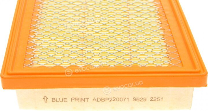 Blue Print ADBP220071