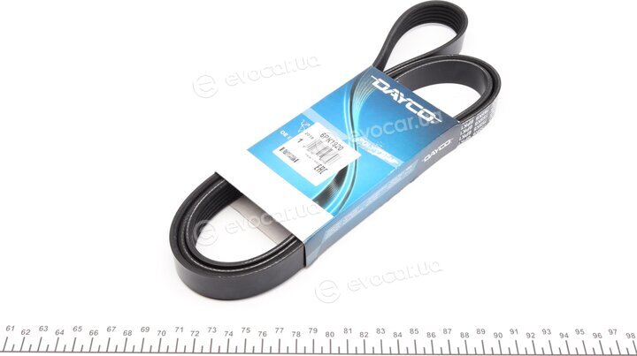 Dayco 6PK1920
