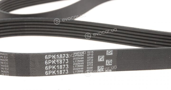 Gates K036PK1873