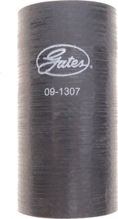 Gates 09-1307