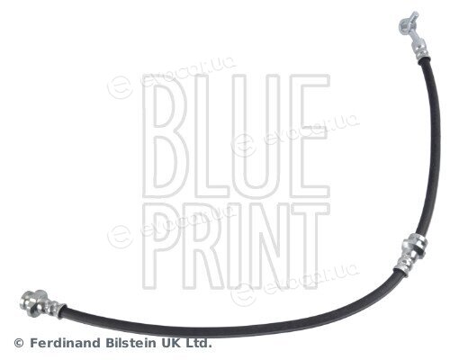 Blue Print ADBP530033