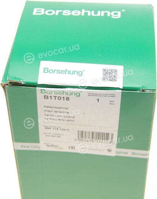 Borsehung B1T018