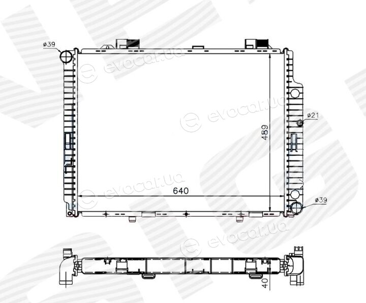 Signeda RA62598Q