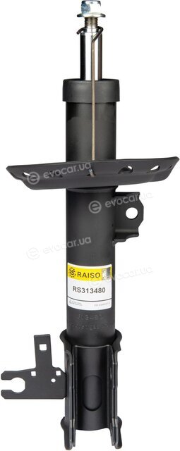 Raiso RS313480