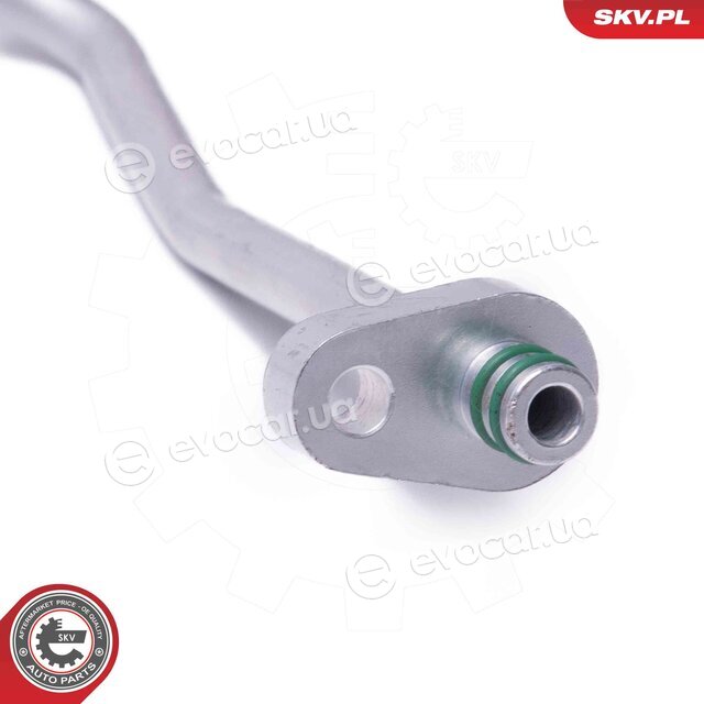 SKV 43SKV538
