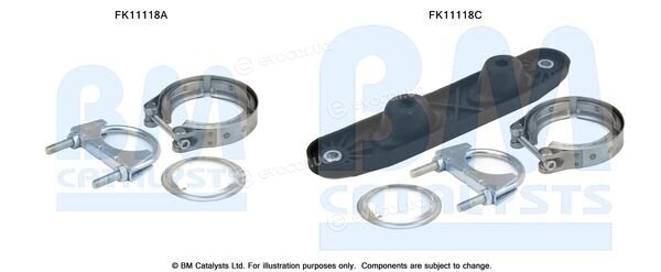 BM Catalysts FK11118