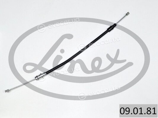 Linex 09.01.81