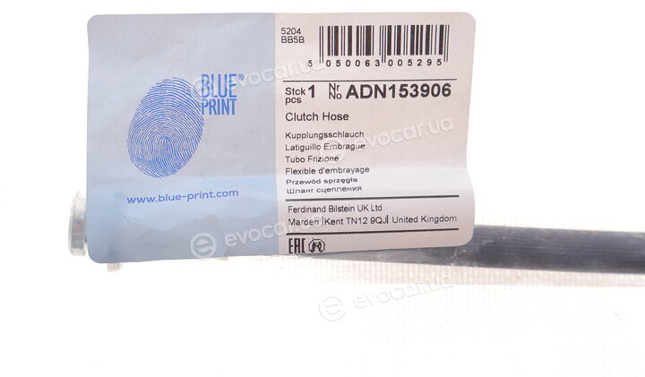 Blue Print ADN153906
