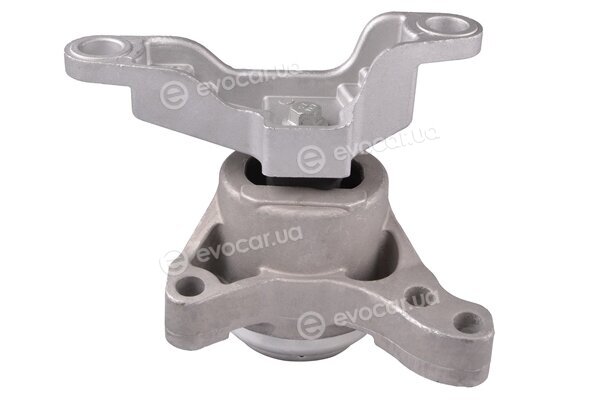 Tedgum 87085