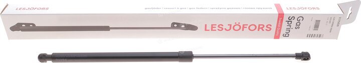Lesjofors 8195830