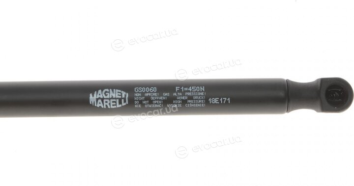 Magneti Marelli 430719006000