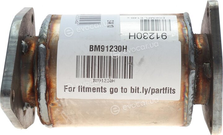 BM Catalysts BM91230H