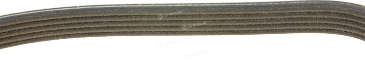 Dayco 5PK1065