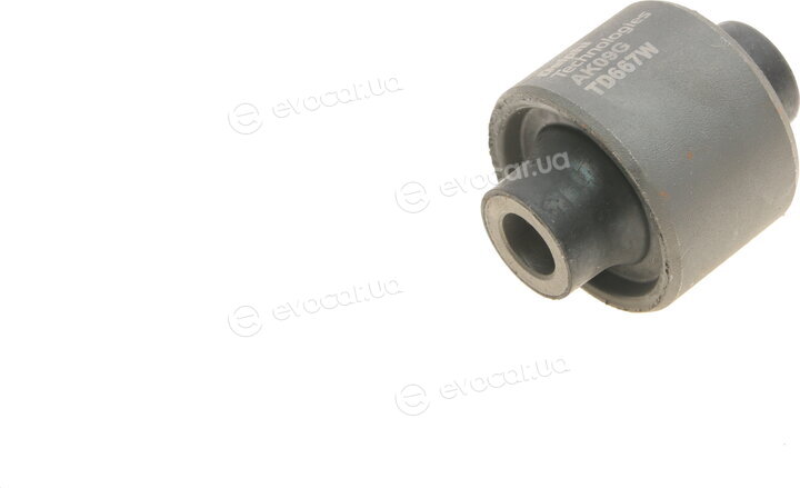 Delphi TD667W