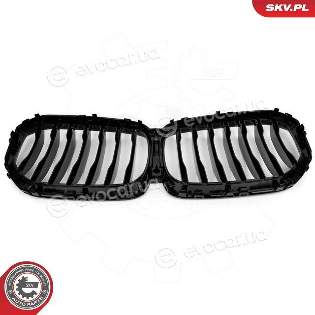 SKV 66SKV300
