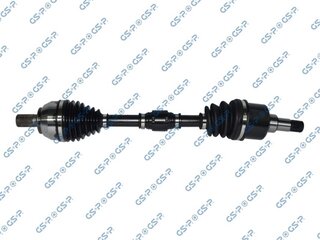 GSP 218261