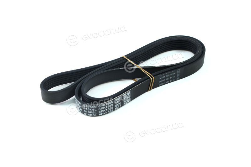 Dayco 6PK1565