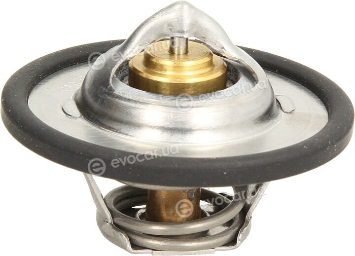 Wahler / BorgWarner 3470.89D50