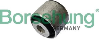 Borsehung B13183