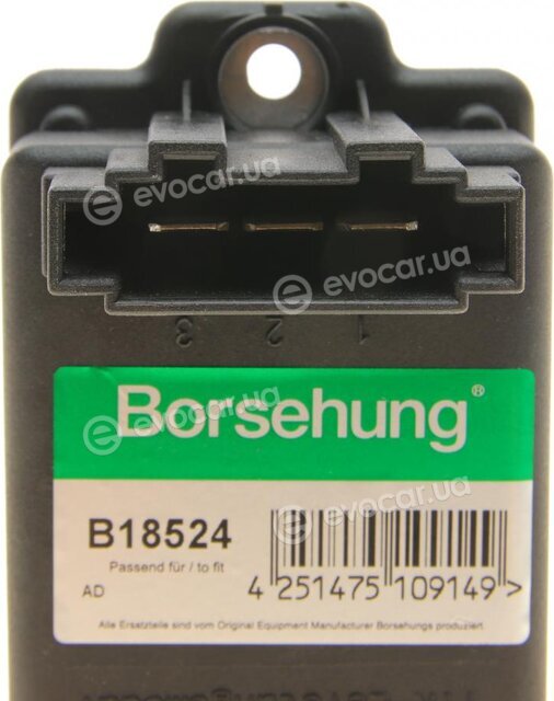 Borsehung B18524