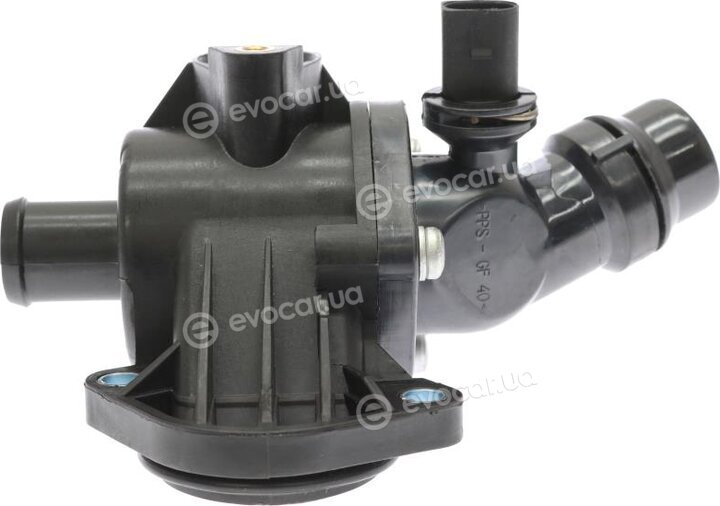 Starline TS T111.105T