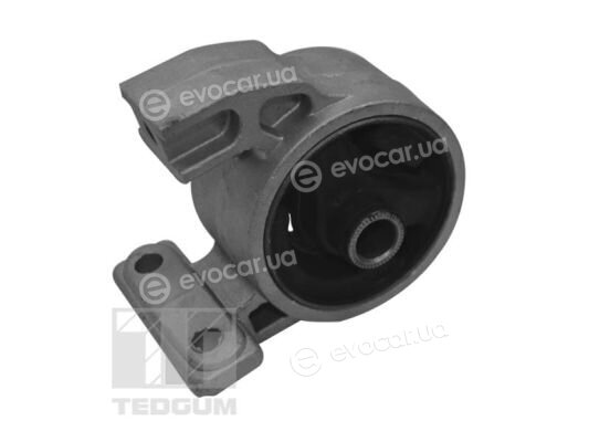 Tedgum TED94977