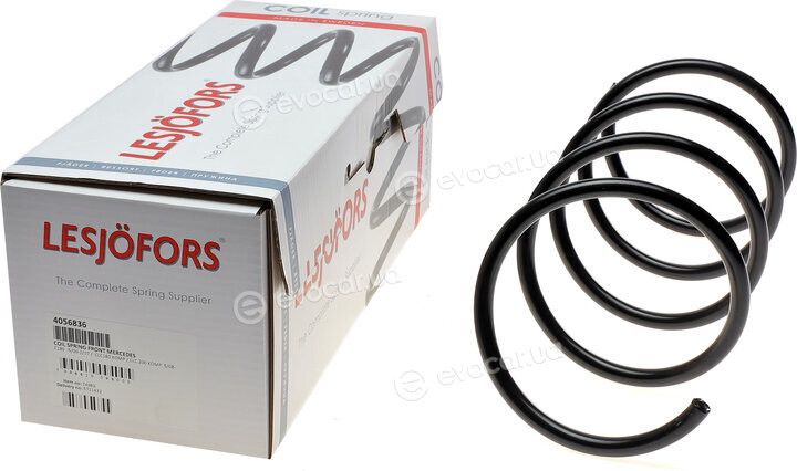 Lesjofors 4056836
