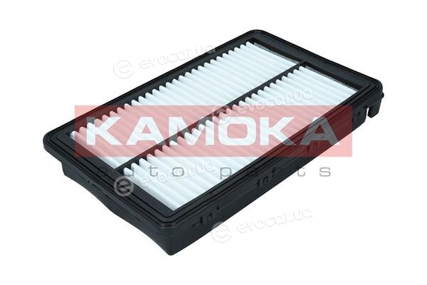 Kamoka F251901