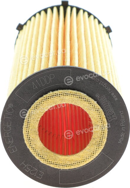 Hengst E125H D209