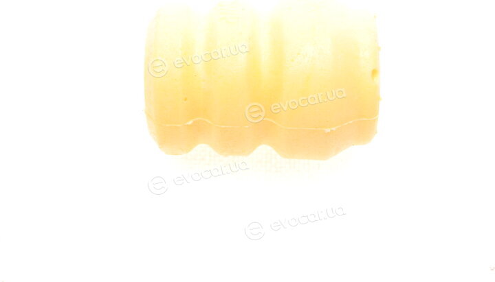 Borsehung B10004