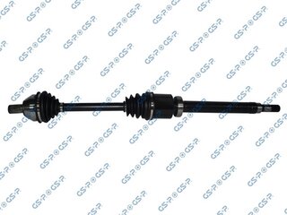 GSP 218350