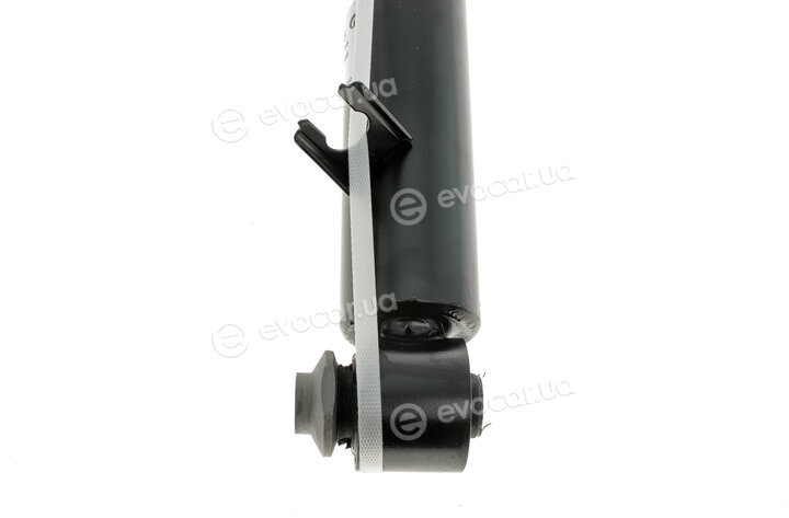 Sachs 315 316