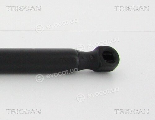 Triscan 8710 13286