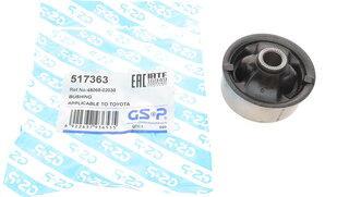 GSP 517363