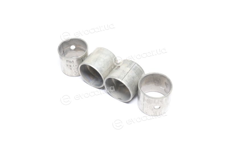 Mahle 039 BS 18761 300