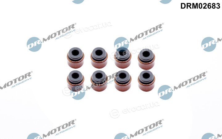 Dr. Motor DRM02683