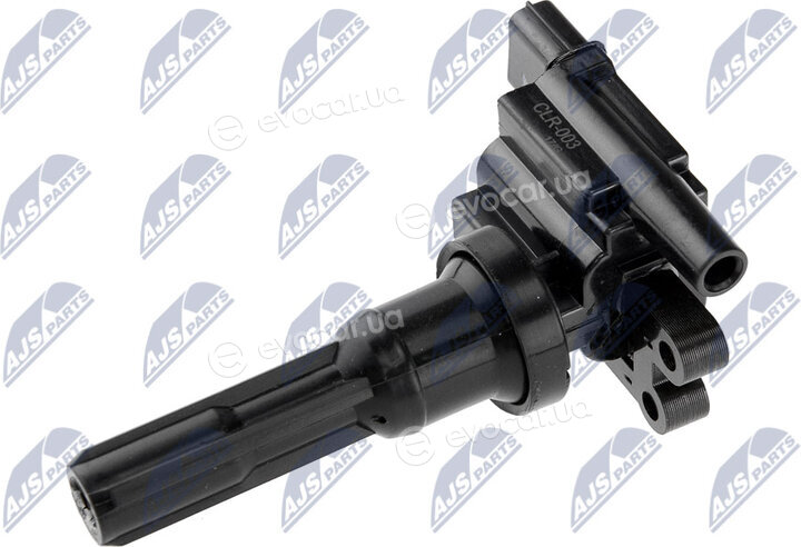 NTY ECZ-MS-012