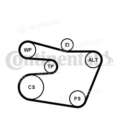 Continental 6PK1538WP1